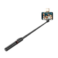 WiWu Selfie Stick and Tripod with Lighting – Wi-SE003